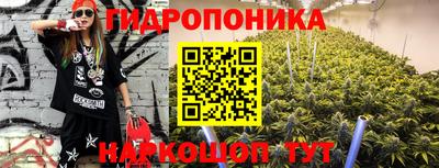 гидра Лесосибирск