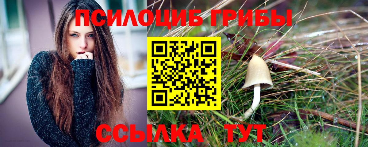 Тамбов  как найти закладки  Вход с VPN  Галлюциногенные грибы Cubensis 