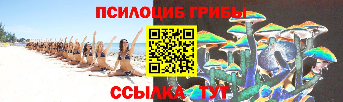 Псилоцибиновые грибы GOLDEN TEACHER Тамбов